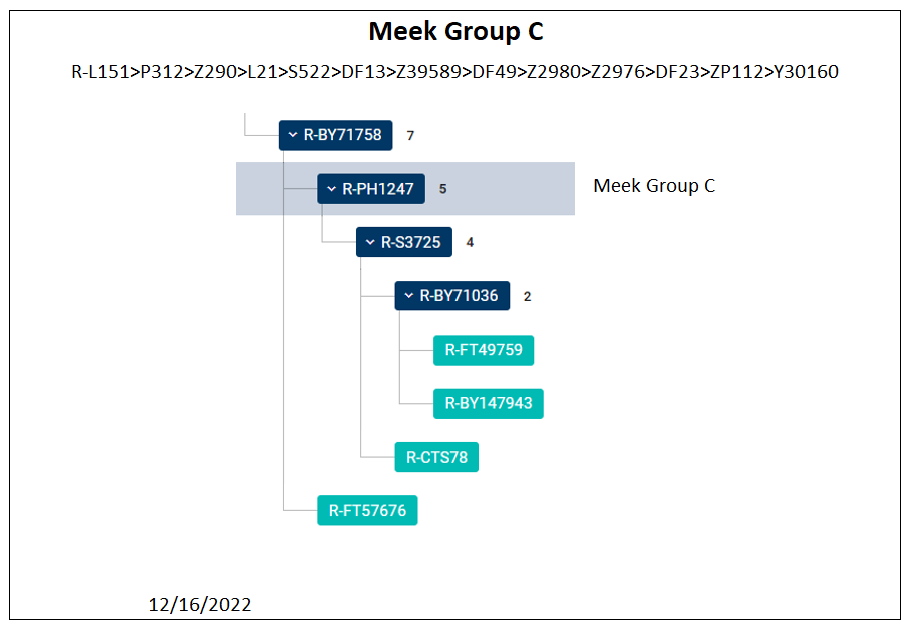 Group C tree